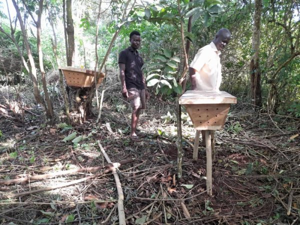Bee Keeping Apiary