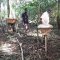 Bee Keeping Apiary