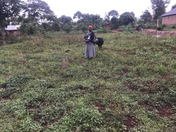 3CA08D3ACA1D4296B737B670D978BFC7