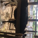 F9DB1D9C0D7545DE9FB5D65BB0D6DA95