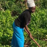 Woman farmer