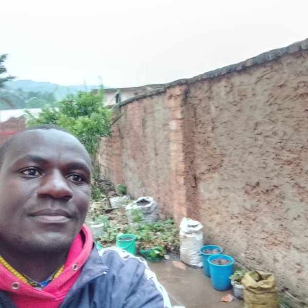 Urban container garden in Kabale