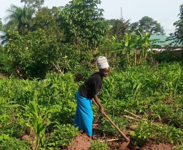 Juliet Mpande has studied Farming God's Way