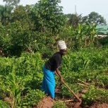 Juliet Mpande has studied Farming God's Way