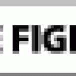 SupportTheFIghtDonatePublications