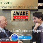 Awake Canada Crimes of a sitting Prime Minister, Justin Trudeau