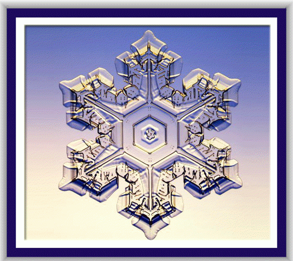 Snow crystals 