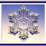 Snow crystals 