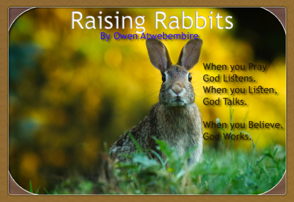 Raising Rabbits by Owen Atwebembire