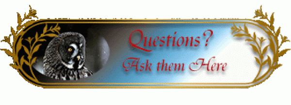 Questions Small