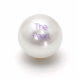 The Pearl Book Image