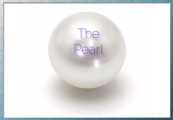 The Pearl Book Image