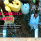 Baobab Children Foundation Slider 1 Image 2