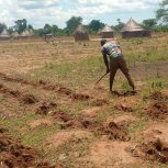 Famine Relief Project Lake Nakuwa in Kaliro district, Buyuge and Buwumba Village