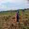 SARMI Famine Relief Project Lake Nakuwa in Kaliro district, Buyuge and Buwumba Village
