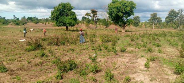 SARMI Famine Relief Project Lake Nakuwa in Kaliro district, Buyuge and Buwumba Village