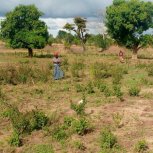 SARMI Famine Relief Project Lake Nakuwa in Kaliro district, Buyuge and Buwumba Village