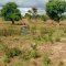 SARMI Famine Relief Project Lake Nakuwa in Kaliro district, Buyuge and Buwumba Village