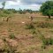 SARMI Famine Relief Project Lake Nakuwa in Kaliro district, Buyuge and Buwumba Village