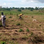 SARMI Famine Relief Project Lake Nakuwa in Kaliro district, Buyuge and Buwumba Village