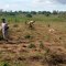 SARMI Famine Relief Project Lake Nakuwa in Kaliro district, Buyuge and Buwumba Village