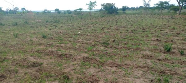 SARMI Famine Relief Project Lake Nakuwa in Kaliro district, Buyuge and Buwumba Village