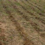 SARMI Famine Relief Project Lake Nakuwa in Kaliro district, Buyuge and Buwumba Village