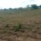 SARMI Famine Relief Project Lake Nakuwa in Kaliro district, Buyuge and Buwumba Village