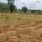 SARMI Famine Relief Project Lake Nakuwa in Kaliro district, Buyuge and Buwumba Village