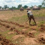 SARMI Famine Relief Project Lake Nakuwa in Kaliro district, Buyuge and Buwumba Village