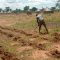 SARMI Famine Relief Project Lake Nakuwa in Kaliro district, Buyuge and Buwumba Village