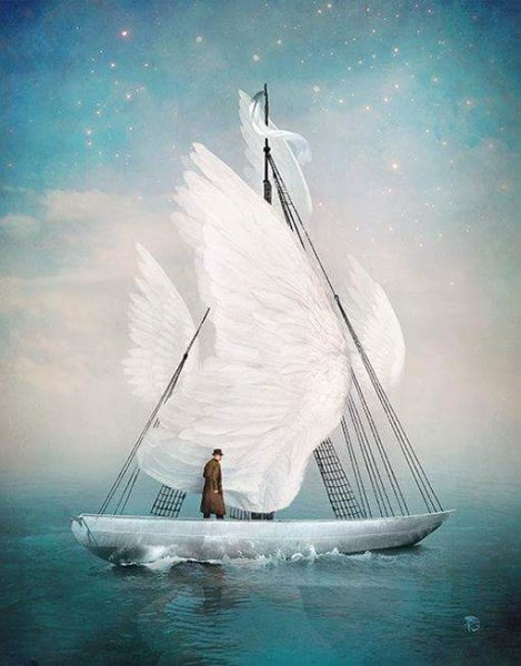 Sailing the high seas of unexplored truth