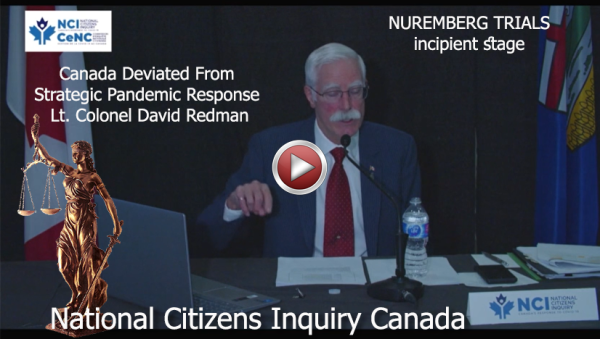 National Citizens Inquiry Canada | Lt. Colonel David Redman