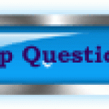 Group Questions