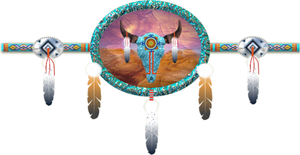 Native Americans 
