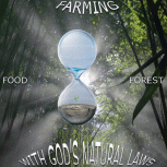 Food Forest Animations