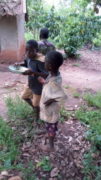 These were fighting for one plate of food, oh my!