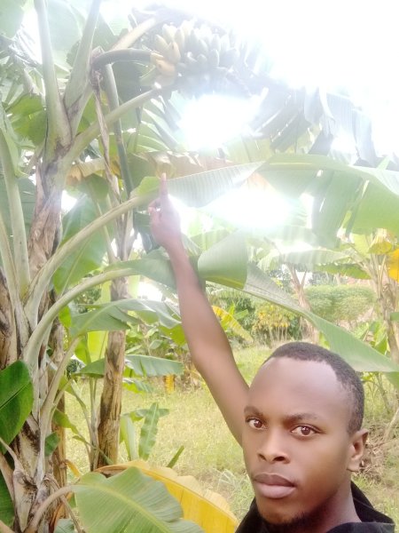 Edson Nuwaha,(Patrick) Food Forest Certification Program Growing Bananas 
