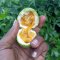 Nuwaha Edson (Patrick) My project of passion fruits