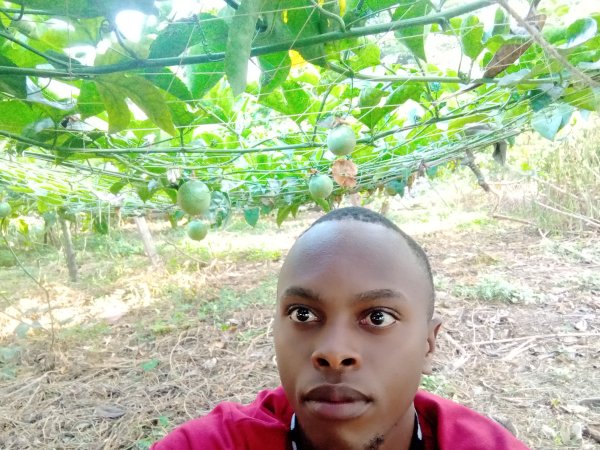 Nuwaha Edson (Patrick) My project of passion fruits