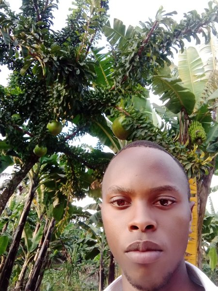 Africa Fruit Trees