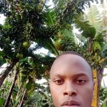 Africa Fruit Trees