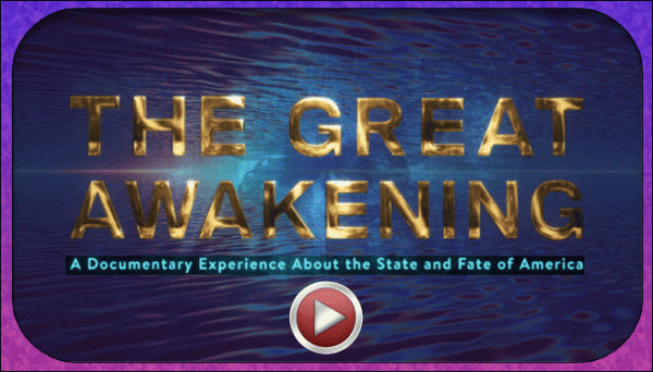 The Great Awakening Mikki Willis
