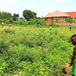 Aprilhelen's August 2022 visit to Isabirye Taliki The Vine of Hope Foundation Orphanage