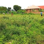 Aprilhelen's August 2022 visit to Isabirye Taliki The Vine of Hope Foundation Orphanage