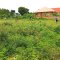 Aprilhelen's August 2022 visit to Isabirye Taliki The Vine of Hope Foundation Orphanage