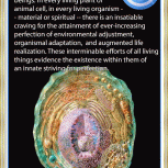  Endowment of Adaptation 