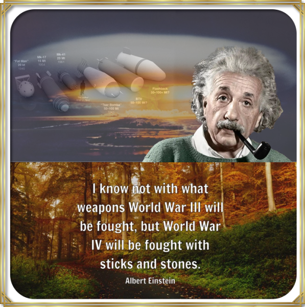 Albert Einstein World Wars III and IV