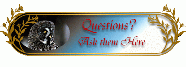 Questions 600X196