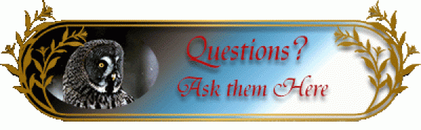 Questions - Ask Them Here 400X126